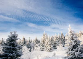 Пермяков зовут в новогодние туры к местам, где можно увидеть снег