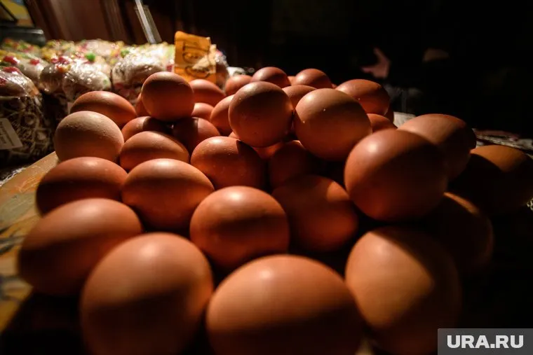 Россиянам спрогнозировали сохранение тенденции на снижение цен на яйца