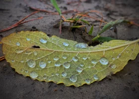 В Кургане и Шадринске резко потеплеет в ближайшие дни