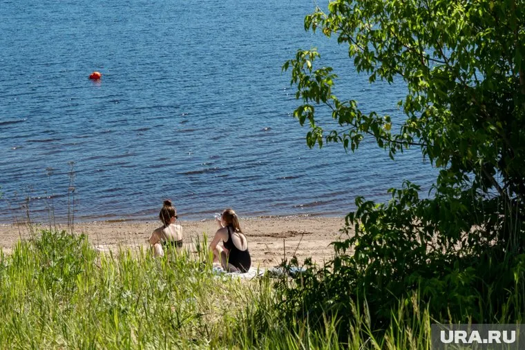 Петицию подписали 79 человек