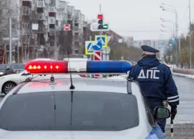 Фотография из галереи