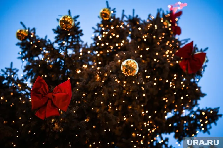 Мэр Верхней Салды Игорь Сальников отменил проведение новогодних корпоративов и фейерверк в честь открытия ледового городка