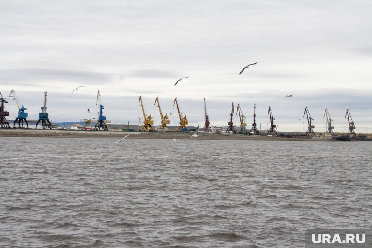 Новая дочка «Газпрома» готова вложить более 4 млрд рублей в обустройство месторождения в ЯНАО