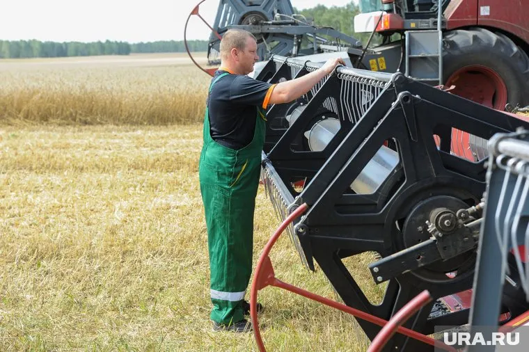 Аграрии планируют засеять на 50 тысяч гектаров больше, чем в прошлый сезон