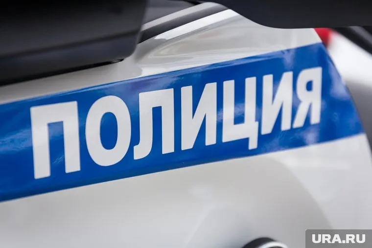 Полицейские задержали артиста, несмотря на сопротивление