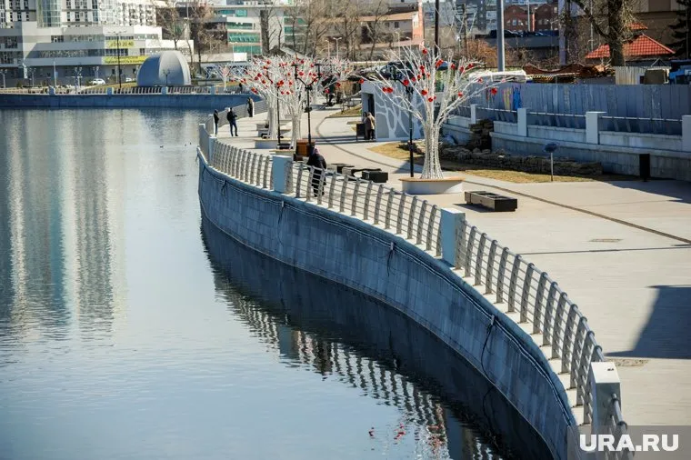 Работы по подготовке территории к строительству будут под контролем специалистов