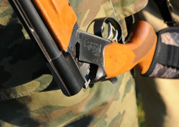 Фотография из галереи