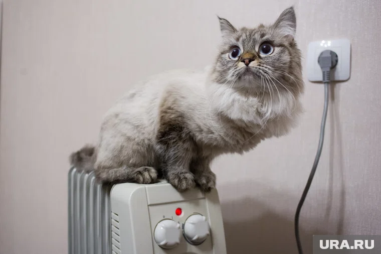 Первыми тепло дадут в школы, детские сады и больницы