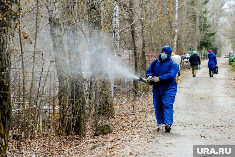 Первый этап обработки от клещей в Челябинске начнется 22 апреля