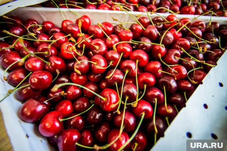 Продавцы клубники и черешни из Киргизии в рекламе утверждают, что их продукция экологически чистая