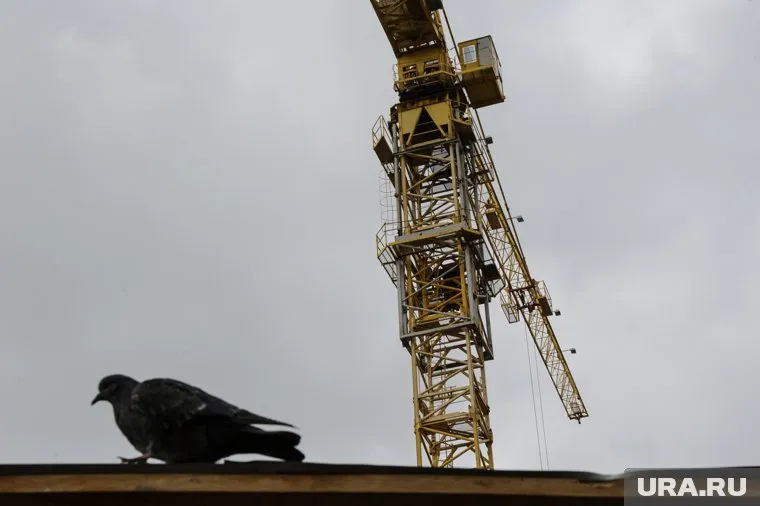 Рост обманутых дольщиков связан с увеличением цен на строительные ресурсы