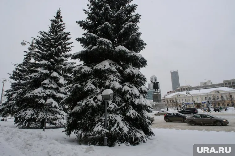 В Екатеринбурге 11 ноября возможен небольшой снег