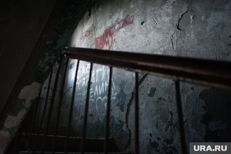 В Урае начали выселение жительницы, устроившей ферму в двух квартирах