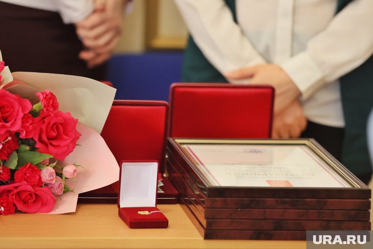 Путин отметил работу курганской чиновницы из Каргапольского округа