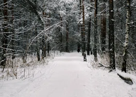 Спасатель рассказал, когда могут найти Усольцевых