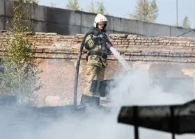 Фотография из галереи