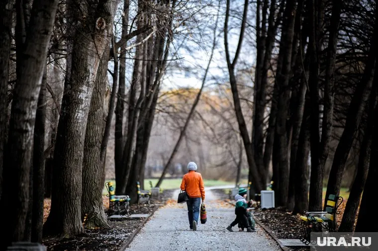 Погода в европейской части России улучшится