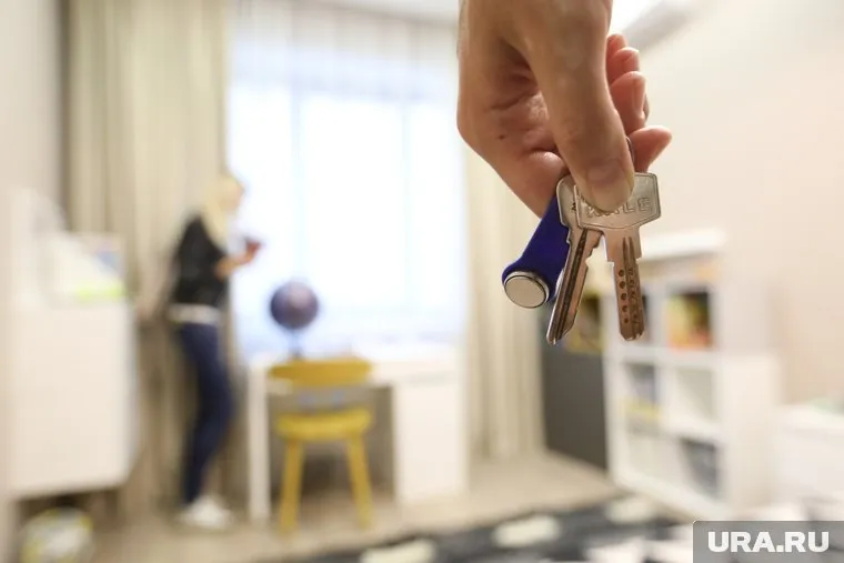 Страховка и договор могут уберечь хозяина от лишних трат