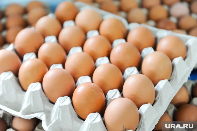 Яйца подорожали почти на треть 