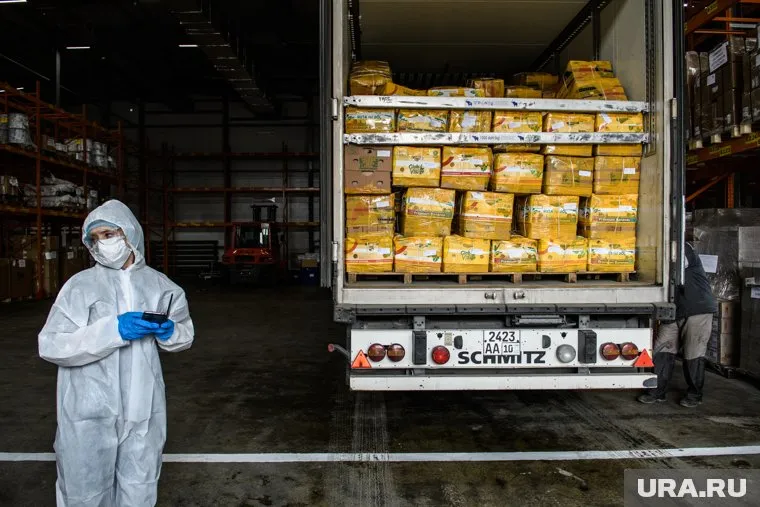 После обработки фрукты выпустят в продажу