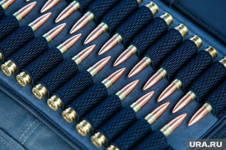 Украина хочет пригласить к себе производителей БПЛА