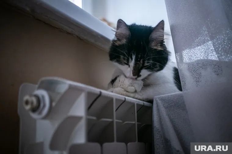 Температурный режим в помещениях будут регулировать до наступления холодов