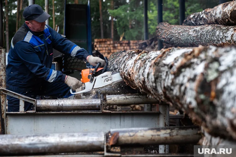 Суммы долгов доходят до миллионов рублей