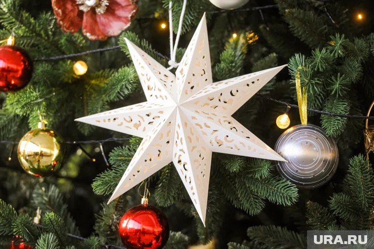 2026 год многим знакам зодиака принесет удачу