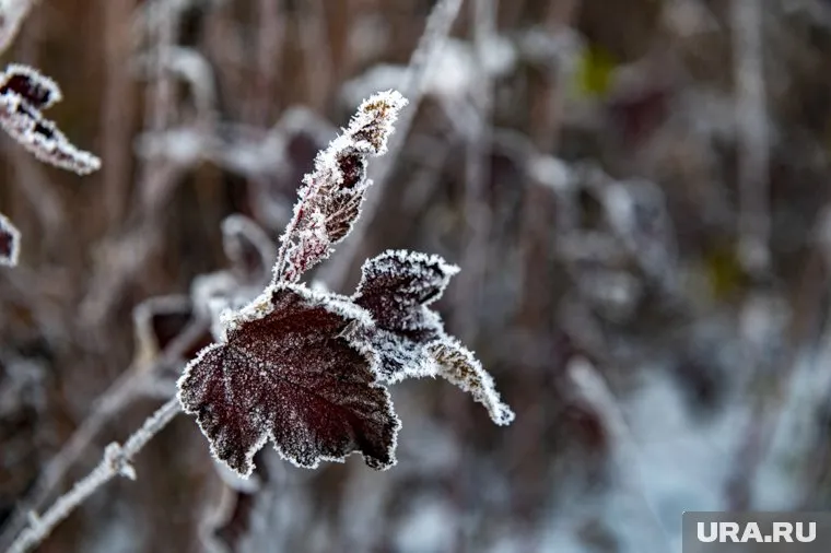 Предварительно, мужчина скончался от обморожения