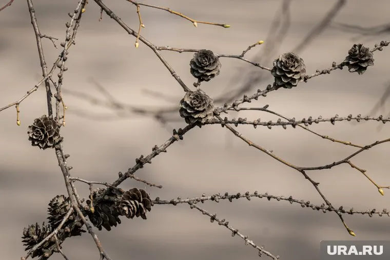 Множество удивительных праздников отмечается 1 августа 2025 года
