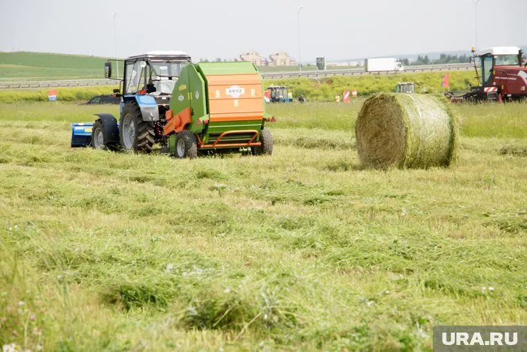 Пермские аграрии выплатили по суду 350 тысяч рублей работникам