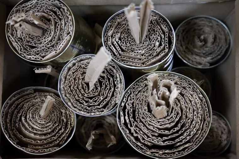 Выборы 2024. Курган