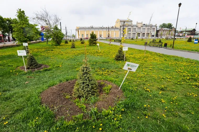 Площадь Ярославского. Сквер ШОС и БРИКС. Челябинск