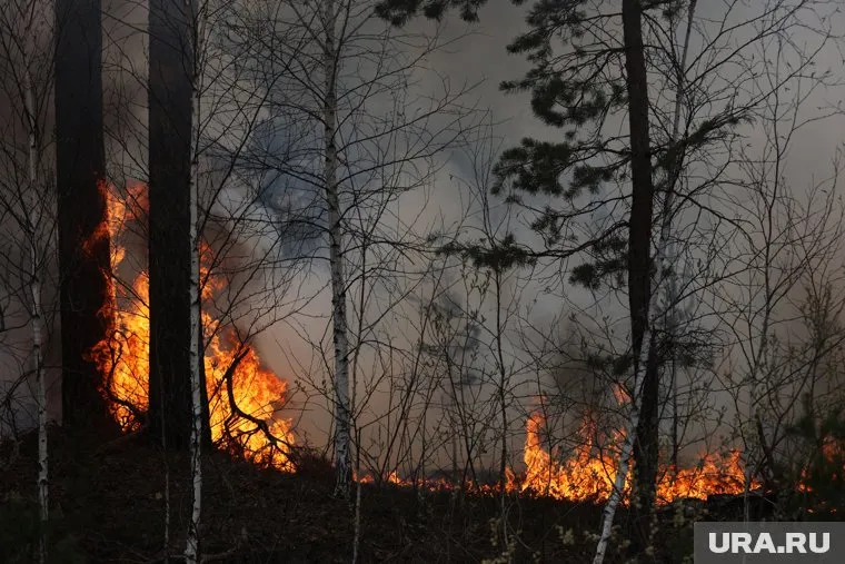 Архангельские авиапожарные помогают потушить огонь в Курганской области