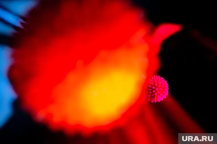 Случаи заболевания зафиксированы уже в 12 городах