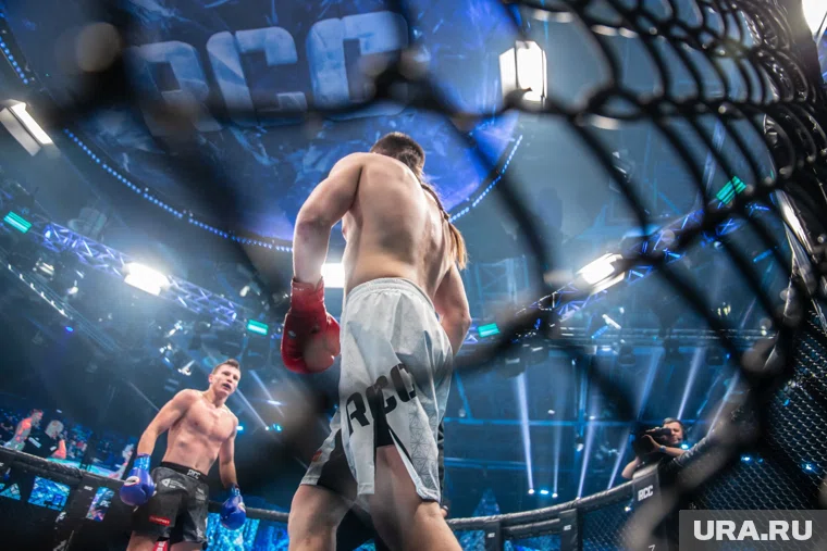 Судьи выбрали победителя поединка раздельным решением (архивное фото)