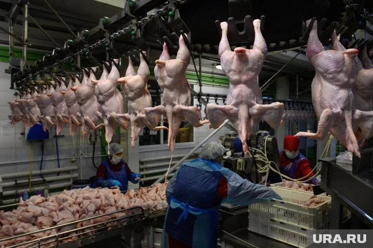 В конце ноября килограмм куриного мяса подорожал до 250 рублей