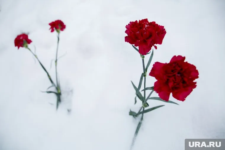 Еще один житель Лысьвы погиб в ДНР