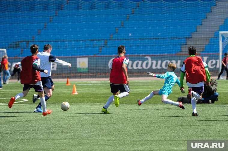 Спортсмены за время профессиональной карьеры не успевают «повзрослеть»