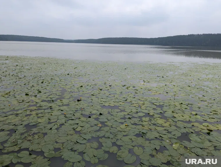 Спасатели начали поиски тел пятерых погибших в затопленном вездеходе в Забайкалье