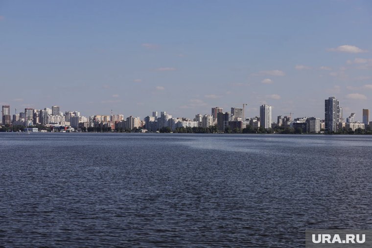 Названа предварительная причина смерти ребенка, чью голову нашли в пруду Москвы