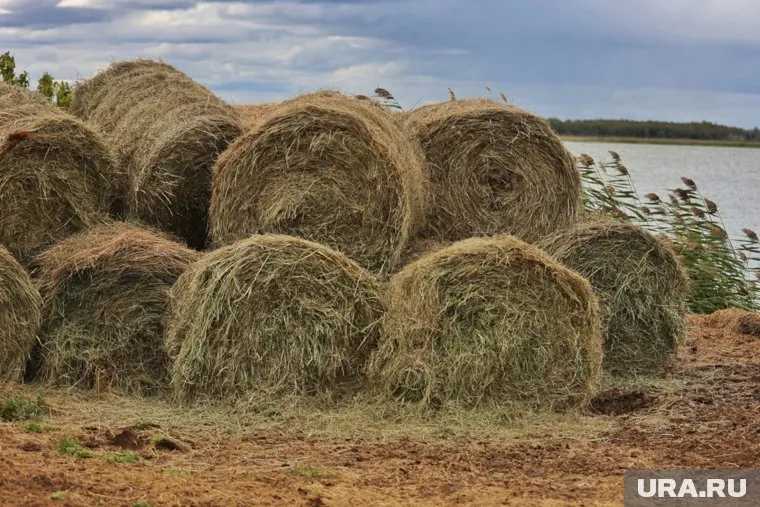 В Пермском крае бизнесмен осужден за присвоение 2 млн