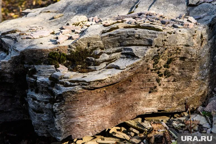 Изобретение, представленное на выставке «Армия-2024» с виду похоже на большой булыжник (архивное фото)