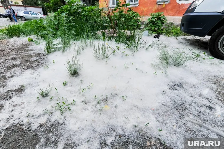 Из-за тополиного пуха в десятки раз выросло число возгораний в Челябинске