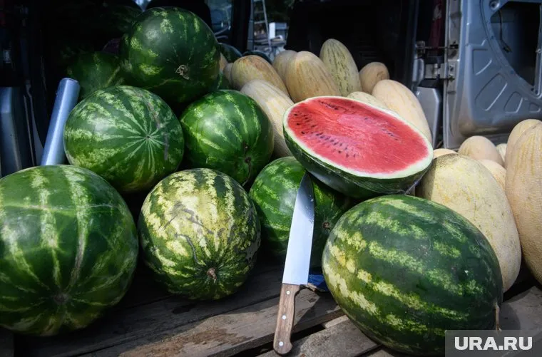 Уличные торговцы предлагают арбузы по 52 рубля за килограмм