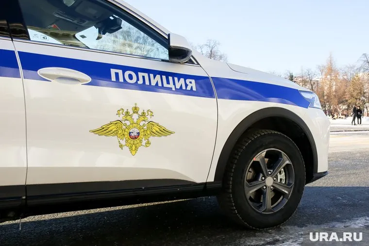 Полиция начала поиск участников потасовки