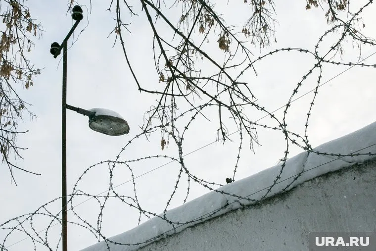 Суд назначил насильнику 13 лет колонии строгого режима