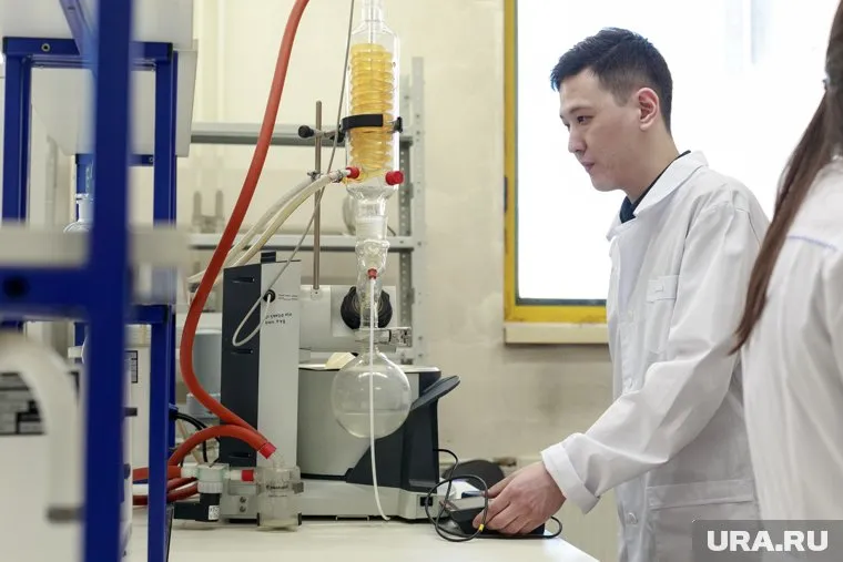 В Минобрнауки и Минпросвещения уверены, что инициатива позволит избавиться от негативного иностранного вмешательства