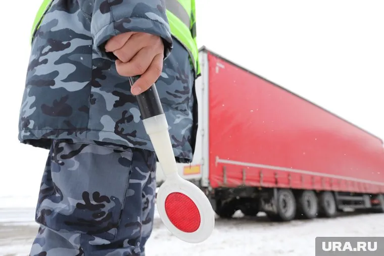 Из Курганской области не выпустили машину с кониной