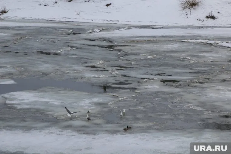 Дмитрий Свиргунов мог провалиться под лед